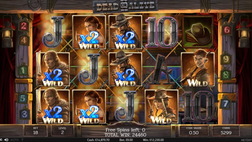 Dead or Alive II Slot